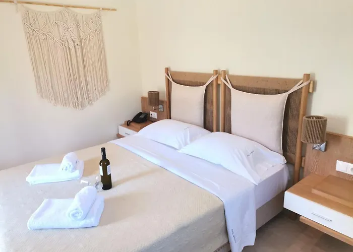 Artemis Plaza 4* Агия-Параскеви