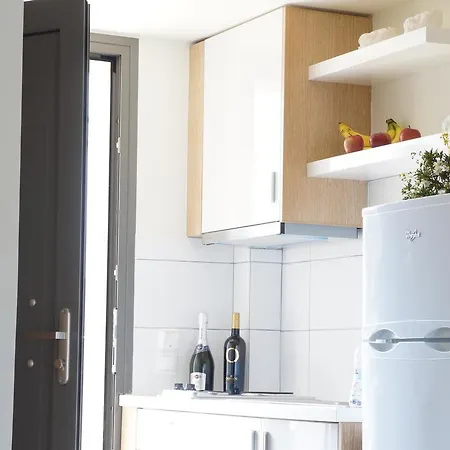 アパートホテル Artemis Plaza アギア・パラスカヴィ