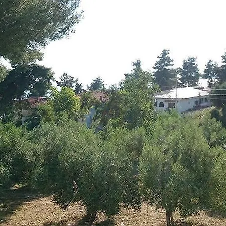 アパートホテル Artemis Plaza 4*