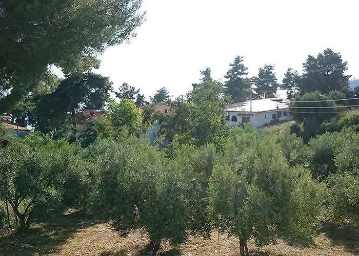 Apartmanhotel Artemis Plaza 4*